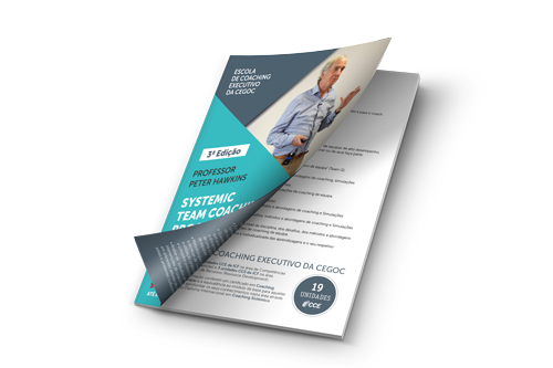 Systemic Team Coaching Programme